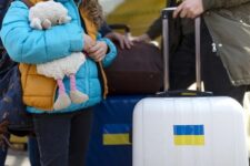 Финансовая поддержка украинцев от волонтерской организации Ukrainely — как получить
