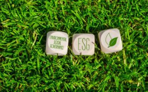 Зеленые облигации на блокчейне: Как мир объединяет доходность и eco-friendly