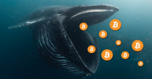Кількість біткоїн-китів знизилася до рекордного мінімуму з 2019 року