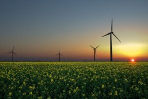 Бизнес сможет получить кредит на закупку альтернативных источников питания: условия