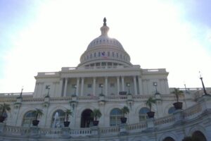 Крипта та фінтех допоможуть у боротьбі з тероризмом: подробиці проєкту