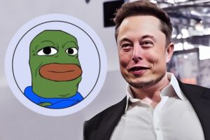 Как Маск обвалил цену токена на 45%