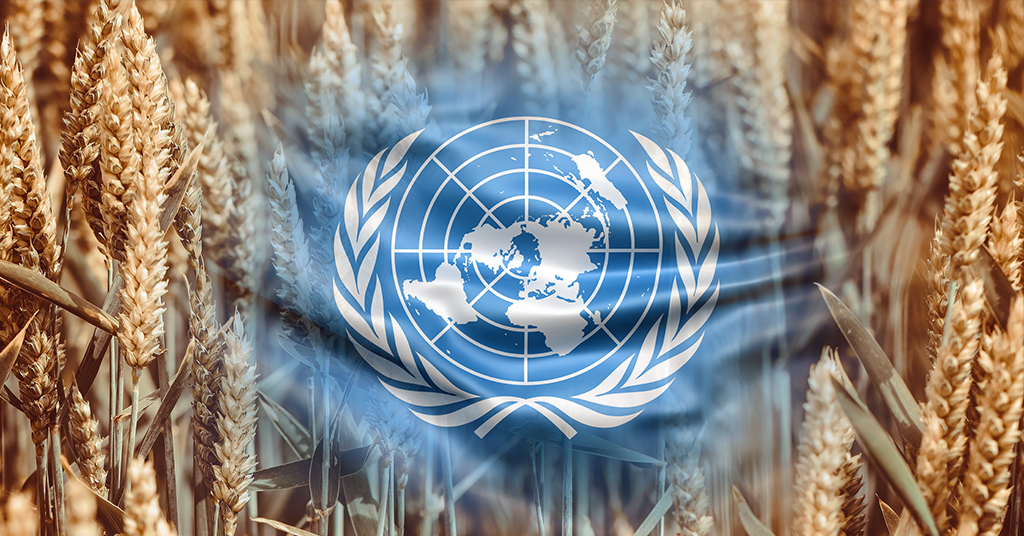 Яку угоду ООН пропонує рф