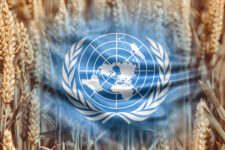 Яку угоду ООН пропонує рф