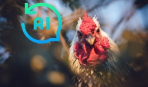 Японія створила штучний інтелект, що розшифровує “мову” курей