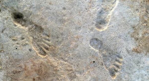 Науковці встановили вік перших слідів людини на континенті