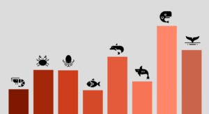 Мешканці криптоморів: хто є хто серед власників біткоїнів
