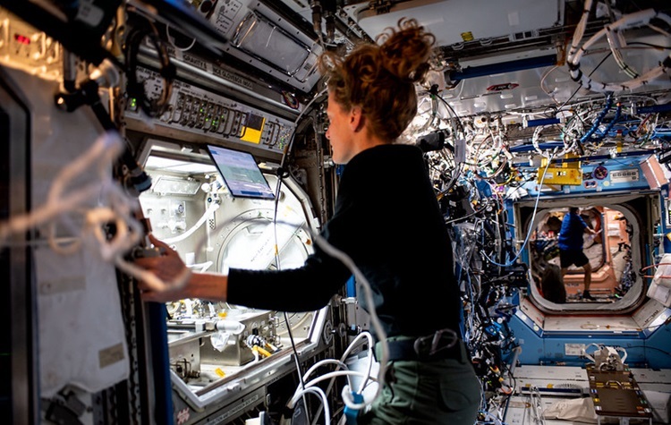 Астронавт Лорал О'Хара працює в бардачковому ящику Microgravity Science. Авторство: NASA