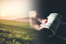 Названо найдорожчі регіони для купівлі землі в Україні: рейтинг на кінець 2023