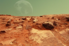 Ученые выяснили, какие млекопитающие могут выжить на Марсе
