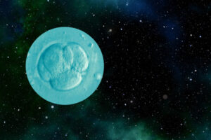 Учені виростили ембріон тварини в космосі