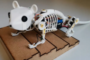 Ученые разработали робота с гибким позвоночником: зачем