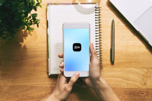 Для ФЛП появилась полезная услуга в Дие