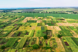 С 1 января заработает новый этап земельной реформы: что изменится для бизнеса