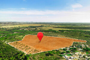 Какие украинские компании имеют больше всего земли в собственности — Опендатабот