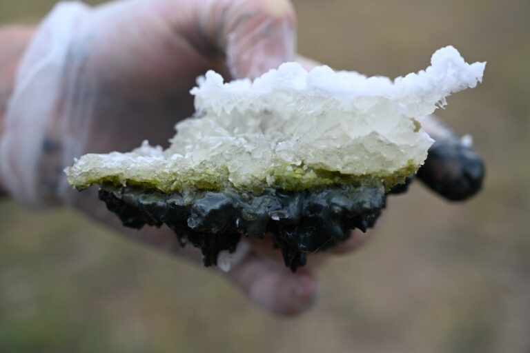 Кусок соляной корки из озера Last Chance Lake с зелеными водорослями посередине и черным осадком на дне