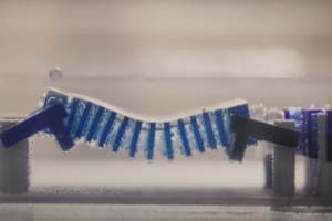 Ученые создали робота-улитку: зачем и как выглядит