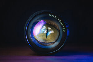 Создана система камер, которая позволяет видеть глазами животных