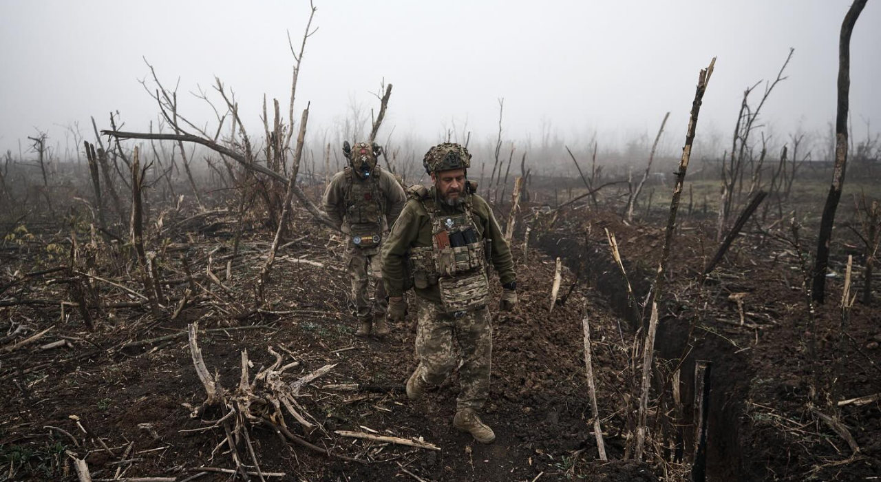 Знищені лісопосадки під Вугледаром (фото: Instagram/libkos)