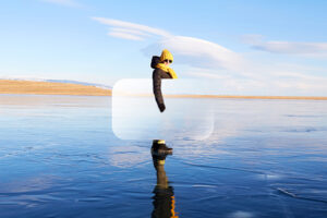 Ученые создали материал, который делает поверхность невидимой