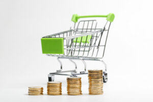 На что украинцы чаще всего берут микрокредиты — исследование