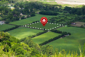 Сколько недвижимости купили украинцы в 2023 году — Опендатабот