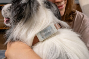 Украинский стартап презентовал GPS-трекер для питомцев