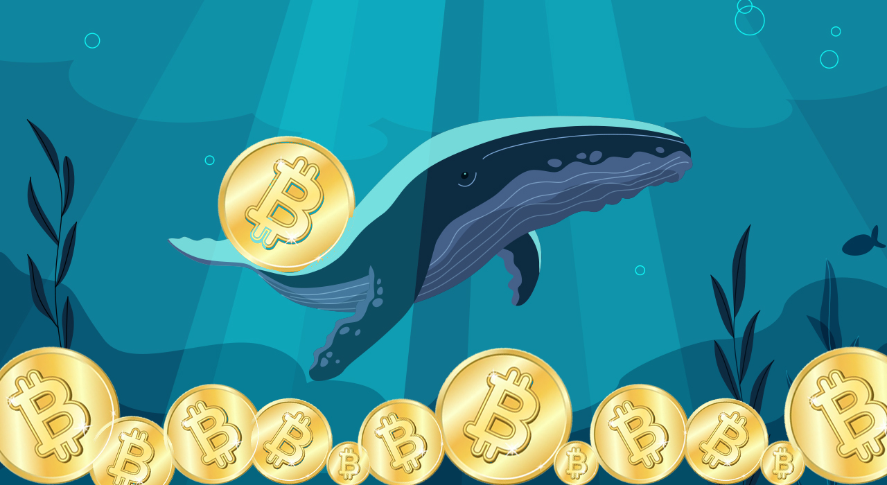 Биткоин-кит получил $900 млн прибыли, купив BTC в 2022 году