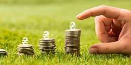 Де в Україні найдорожча та найдешевша земля — Опендатабот