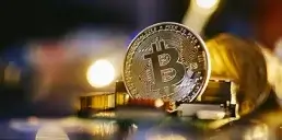 Сколько биткоинов у известных компаний – обзор