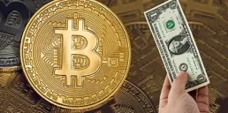 Сколько людей в мире владеют BTC на сумму более $1
