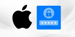Apple добавит новую программу Passwords: чем полезна