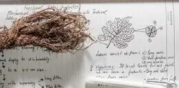 Украинский стартапер стал финалистом международной премии для изобретателей