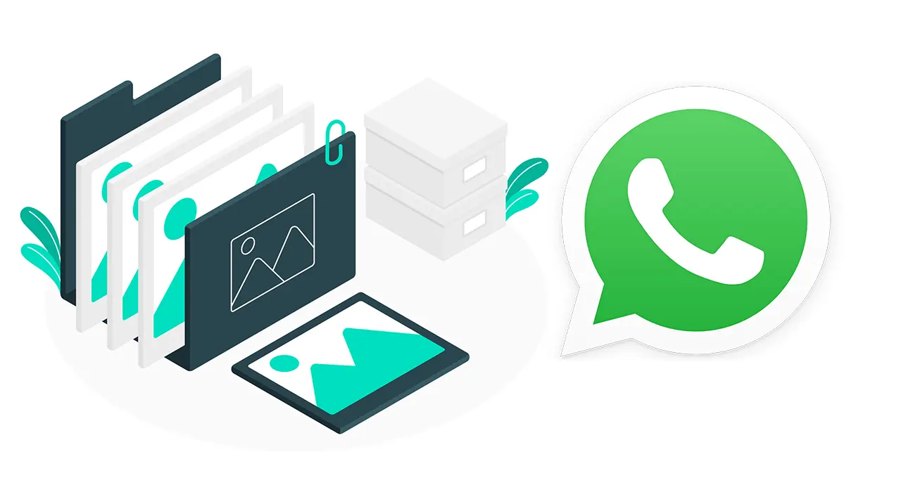 WhatsApp дозволив надсилати фото та відео у форматі HD
