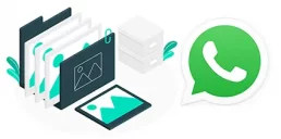 WhatsApp дозволив надсилати фото та відео у форматі HD