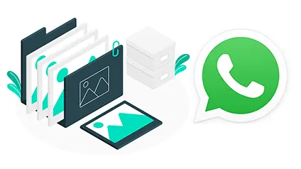 WhatsApp позволил отправлять фото и видео в формате HD