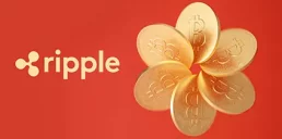 Где хранить свою криптовалюту — ответ технического директора Ripple