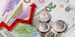 Повышение налогов в Украине неизбежно — МВФ