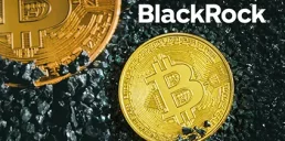 BlackRock переказав біткоїнів на $548 млн: чи привід до тривоги