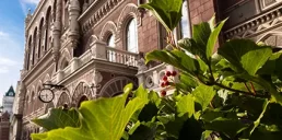 Как изменился рынок небанковских финасовых услуг в августе — НБУ