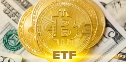 У спотових біткоїн-ETF зафіксовано рекордний відтік капіталу