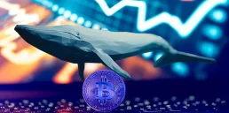 Якій криптовалютній біржі віддають перевагу біткоїн-кити