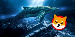 Розкрито стратегію китів Shiba Inu: що зараз роблять великі інвестори SHIB