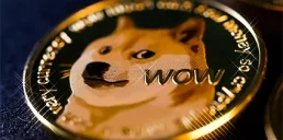 Криптокити скуповують Dogecoin.: як змінилася ціна та чого чекати