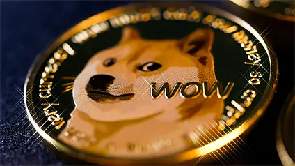 Чи досягне DogeCoin $1 до кінця року — думка експерта