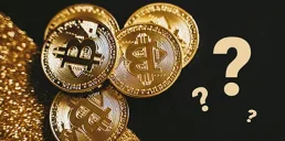 У кого найбільше біткоїнів на грудень 2024 року — дані Time Chain Index