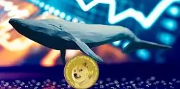 Криптовалютные киты скупают DOGE: прогноз цены