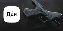 У Дії появятся разрешения на оружие в ближайшее время — Федоров