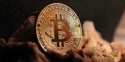 Біткоїн може впасти до $10 000 — стратег Bloomberg