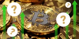 Біткоїн готується до зростання — Алі Мартінес